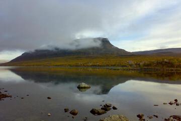 Photo 41
