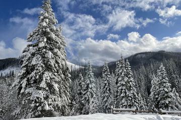 Land view from property