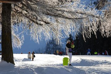 Snowshoeing