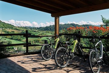 Bicycling