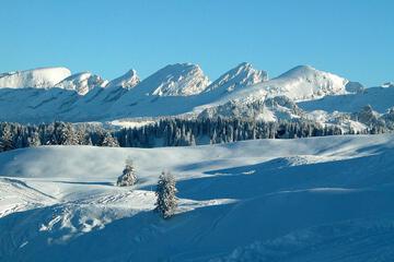 Photo 30