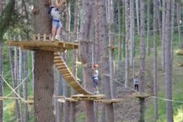 Ropes course (team building)
