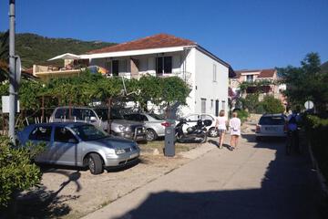 Photo 50