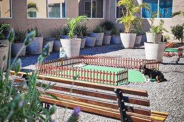 Pet-friendly amenities