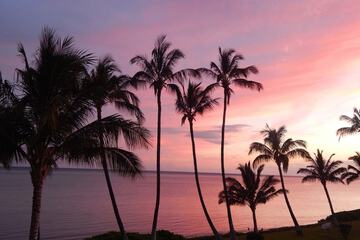 Land view from property