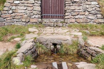 Photo 24