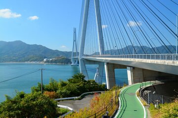 Photo 41