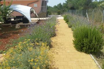 Photo 29