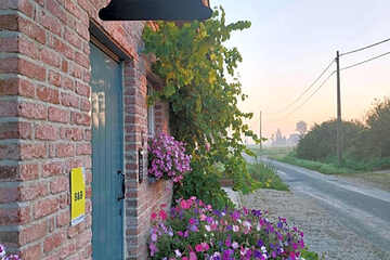 Photo 39