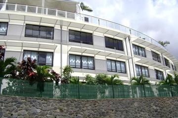 Photo 45