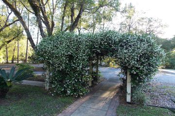 Property Grounds 55 of 58