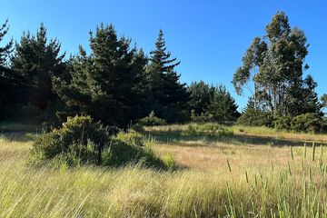 Land view from property