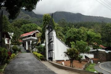 Photo 46