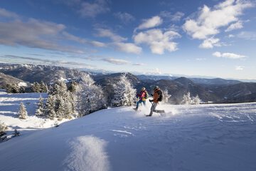 Snowshoeing