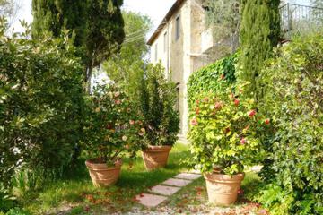 Photo 40