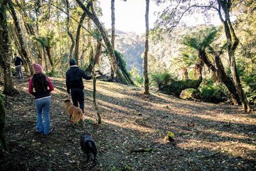 Hiking
