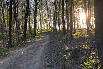 Hiking