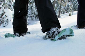 Snowshoeing