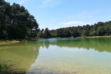 Fishing