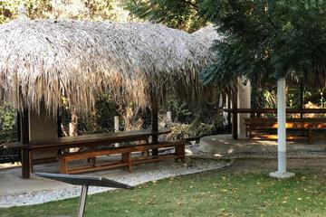 Photo 47