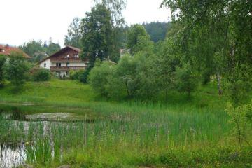 Photo 48