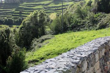 Photo 49