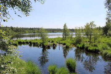 Photo 35