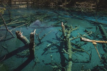Ecotours