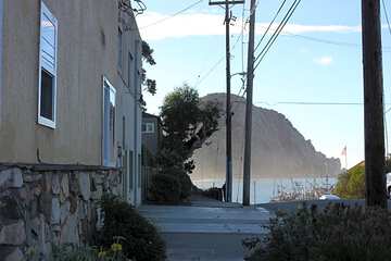 Photo 44