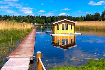 Photo 7