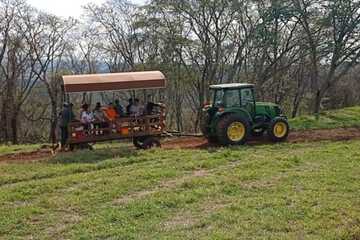 Children's activities