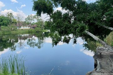 Lake view