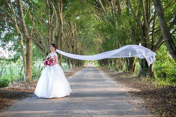 Outdoor wedding area