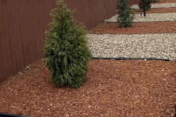 Land view from property