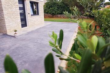Photo 38