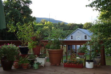 Photo 31