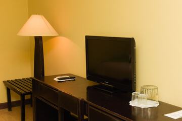 Television
