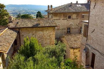 Photo 40