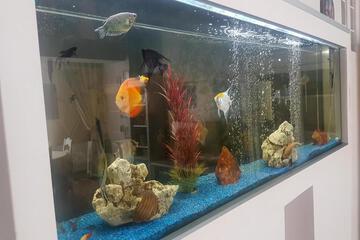 Photo 38