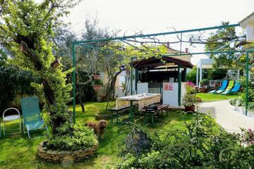 Photo 36