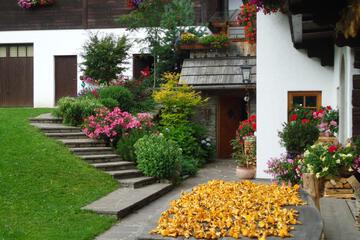 Photo 51