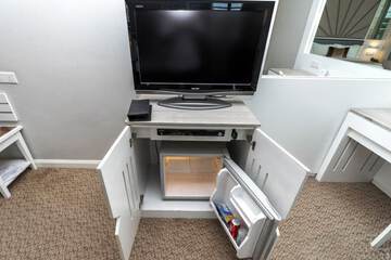 Mini-refrigerator
