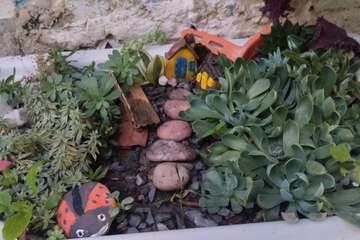 Garden view