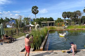 Natural pool