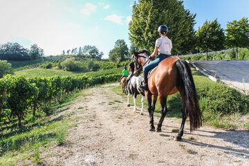 Horseback riding