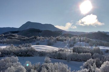 Snowshoeing