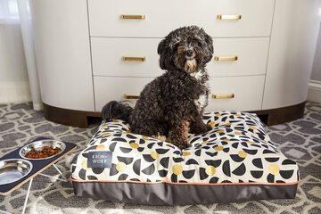 Pet Friendly 61 of 63