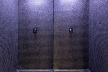 Vichy shower
