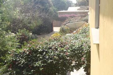 Photo 49