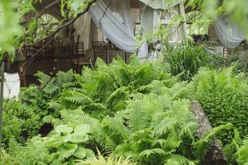 Outdoor wedding area